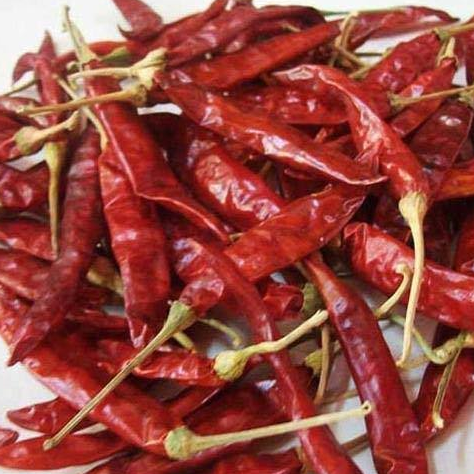 Samba milagai /சம்பா மிளகாய் பழசு